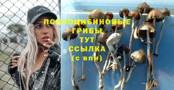 мяу мяу кристалл Балахна