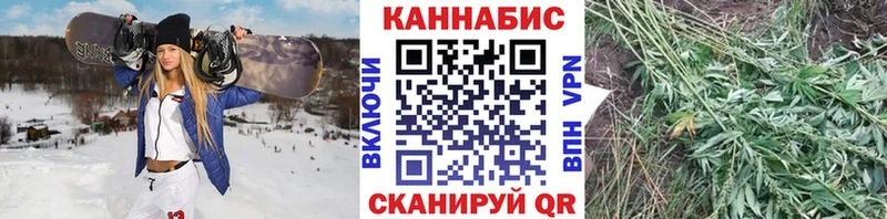 Марихуана Amnesia  Купить закладки  Горбатов 